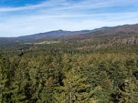 Aussichtsturm Fernblick zum Großen Rachel - Baumwipfelpfad Neuschönau